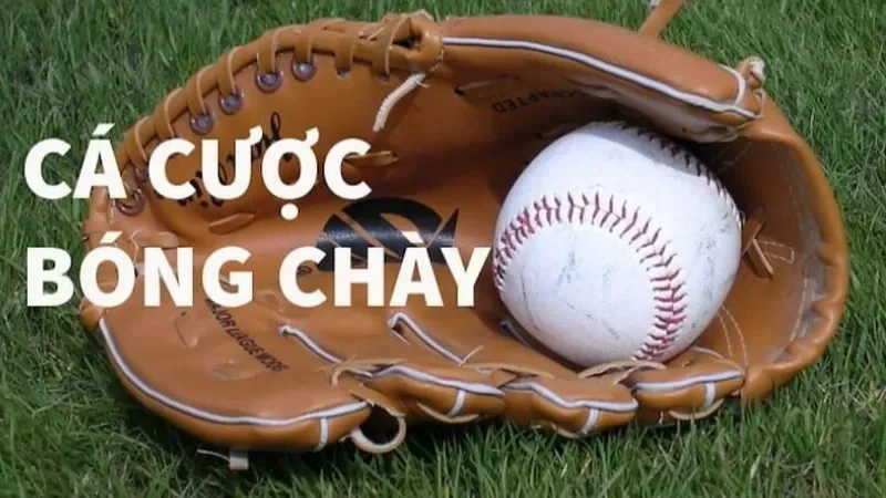 Cá Cược Bóng Chày – Giải Mã Bí Quyết Đặt Kèo Chuẩn Xác Nhất