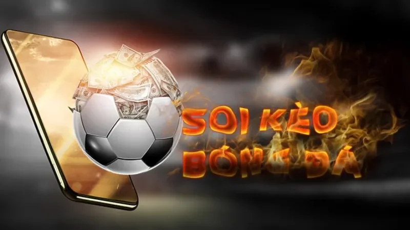 Khám Phá Kèo 1/4 (0.25), Kèo 1/2 (0.5), Kèo 3/4 Từ A – Z Cho Tân Thủ