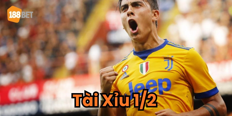 Tổng quan về kèo