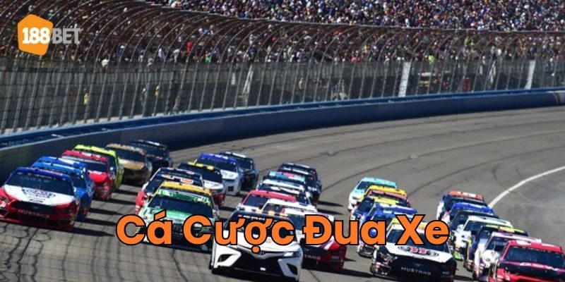  Cá Cược Đua Xe và các giải đấu quốc tế