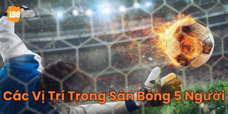 Các Vị Trí Trong Sân Bóng 5 Người là gì